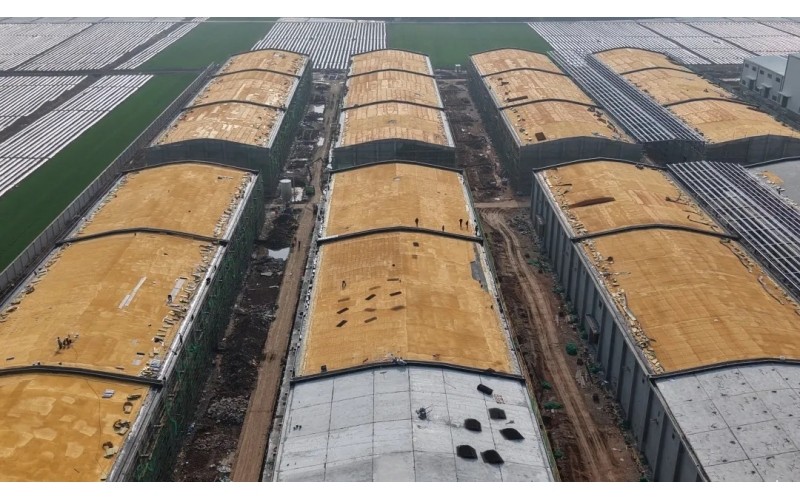 开局争先！湖北农发集团一季度喜迎“开门红”