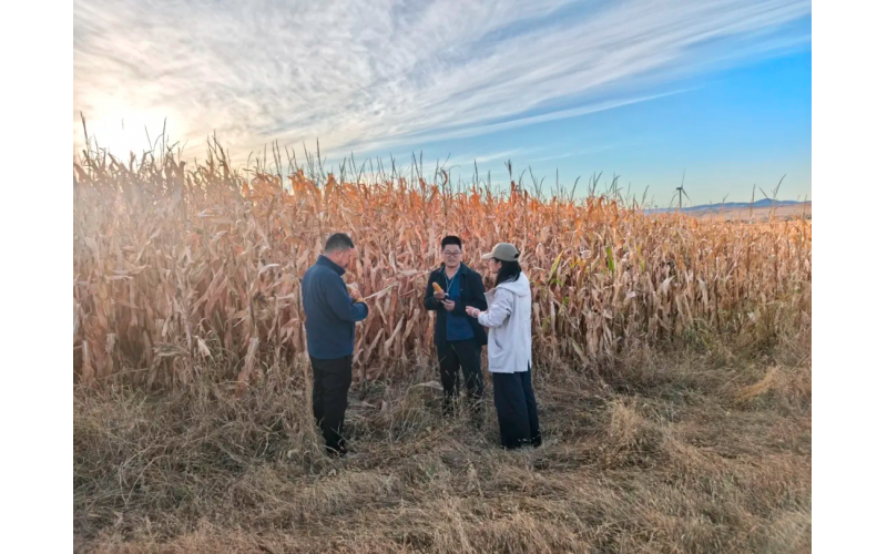 双节在岗｜致敬节日里农发人的每一份坚守